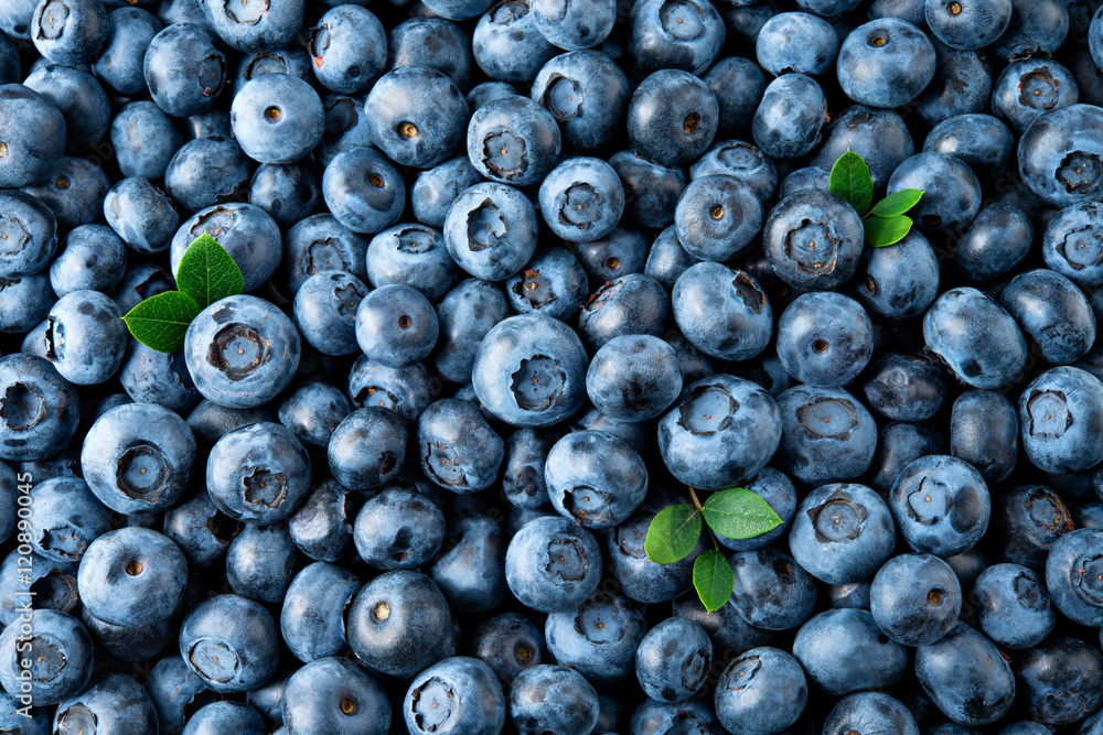 蓝莓。新鲜有机浆果宏观。水果背景