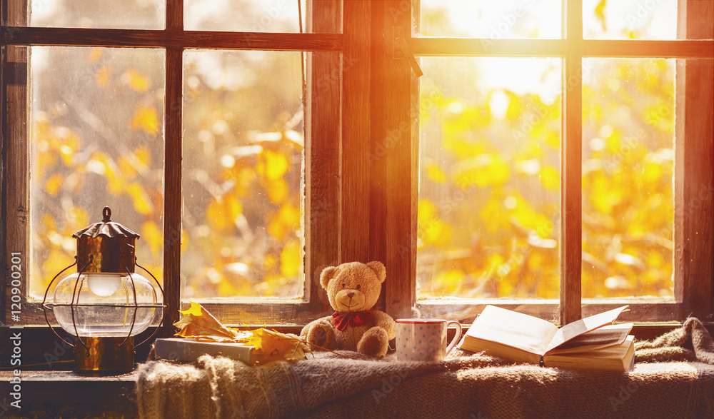 秋天。舒适的窗户，秋天的树叶，书，一杯茶