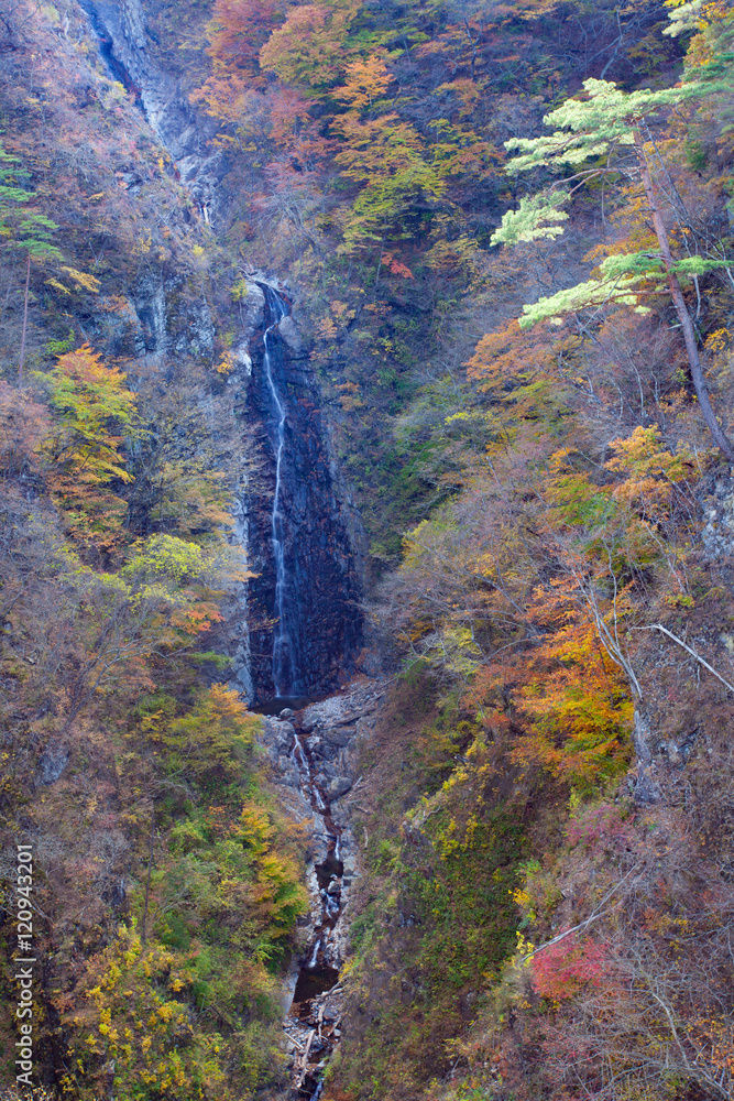 高山上的小瀑布和秋树林