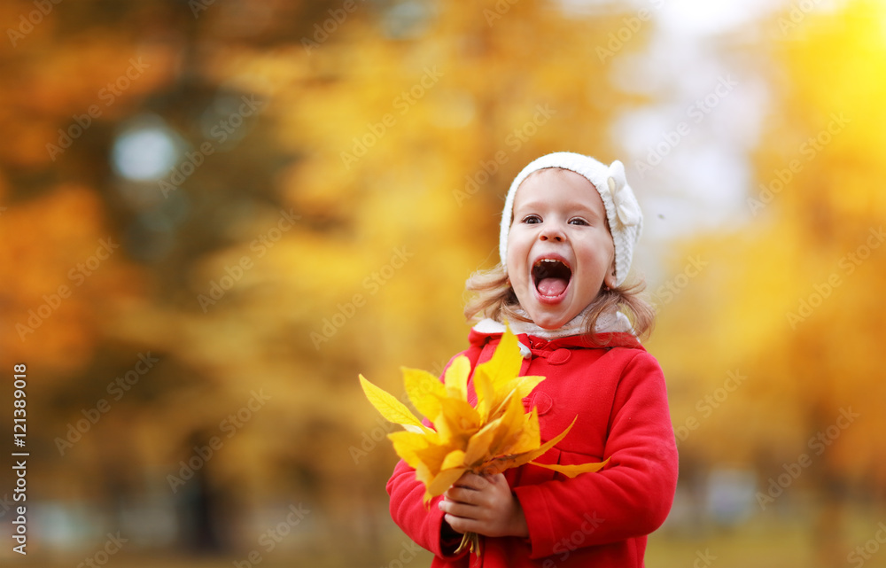 快乐的小女孩在秋天与树叶一起欢笑