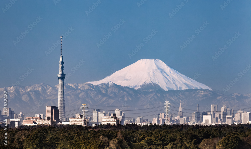 冬季的东京城市景观和富士山。