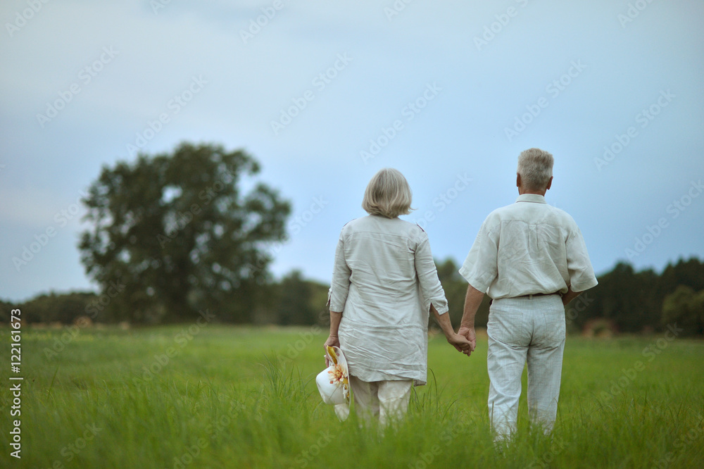 senior couple  in summer field