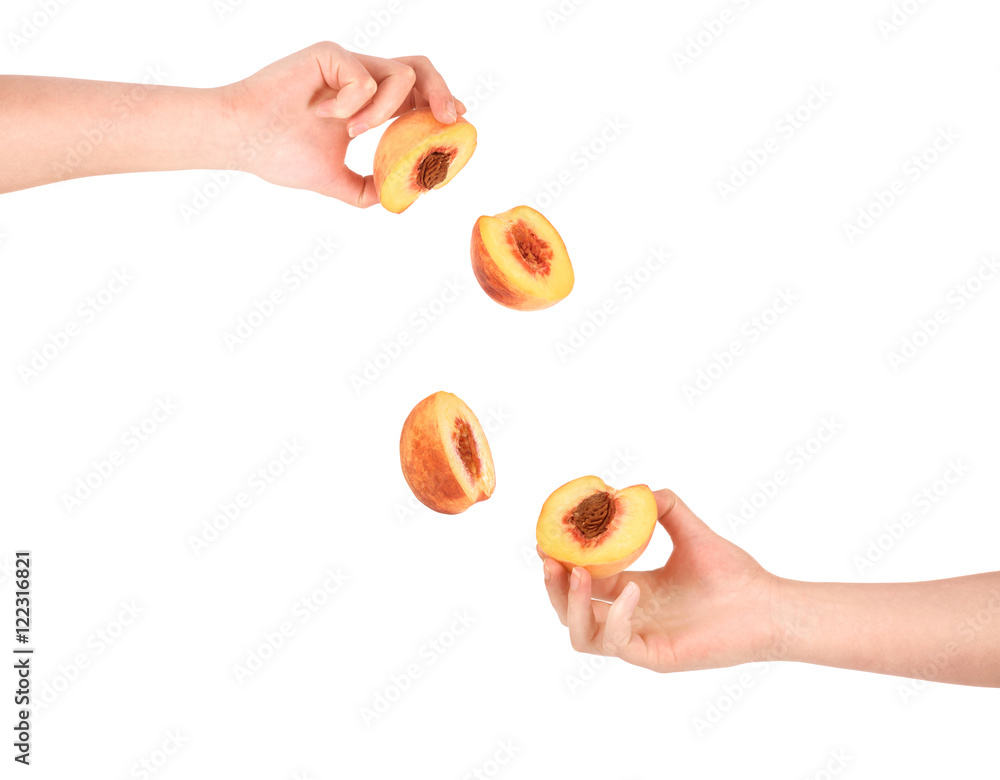 两个桃子被女性手中切开