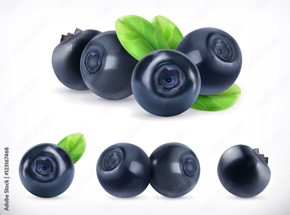 Blueberry. Sweet fruit. Forest berry. 3d vector icons set. Realistic illustration