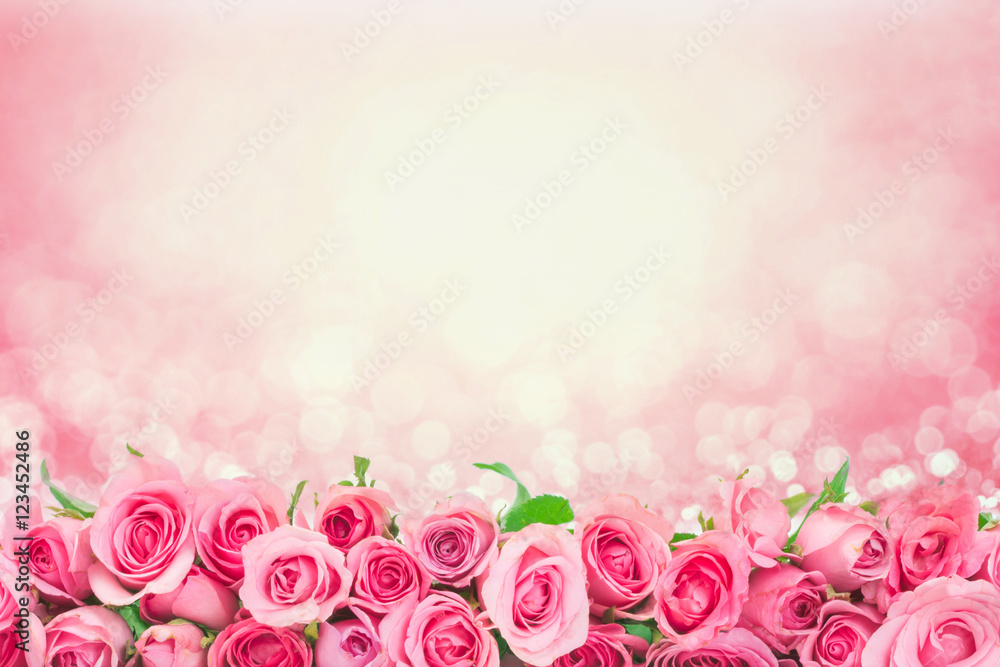 美丽的边界新鲜甜蜜的粉红色玫瑰为爱情浪漫的情人节背景