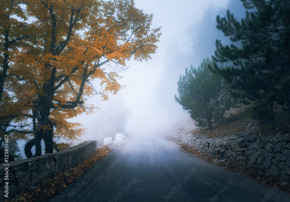 Mystical autumn foggy forest with road. Fall misty woods in fog. Colorful landscape with trees, moun