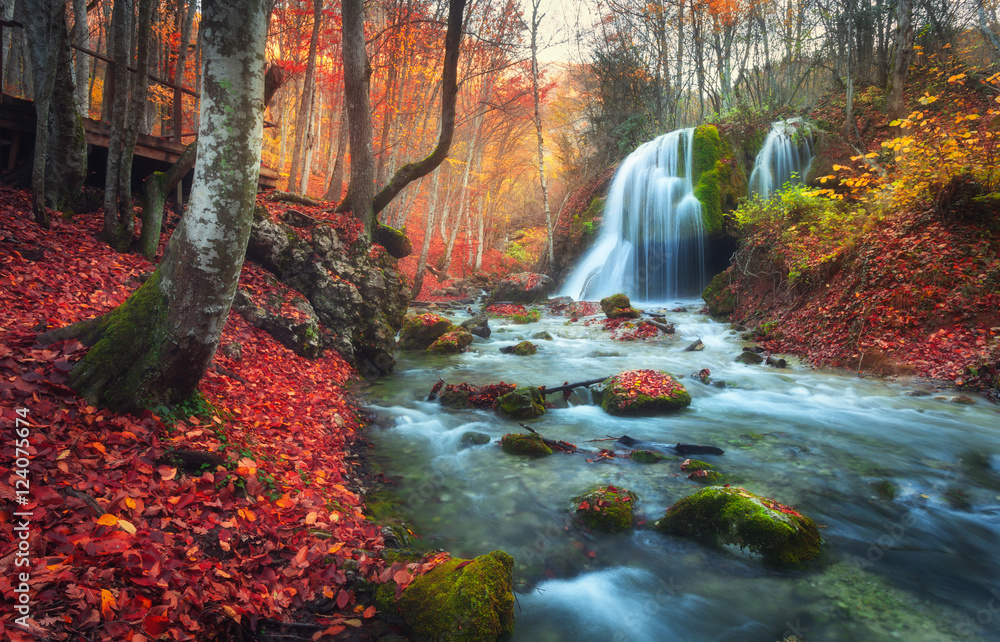 日落时，山河上有瀑布的秋林。树木、石头、水的多彩景观