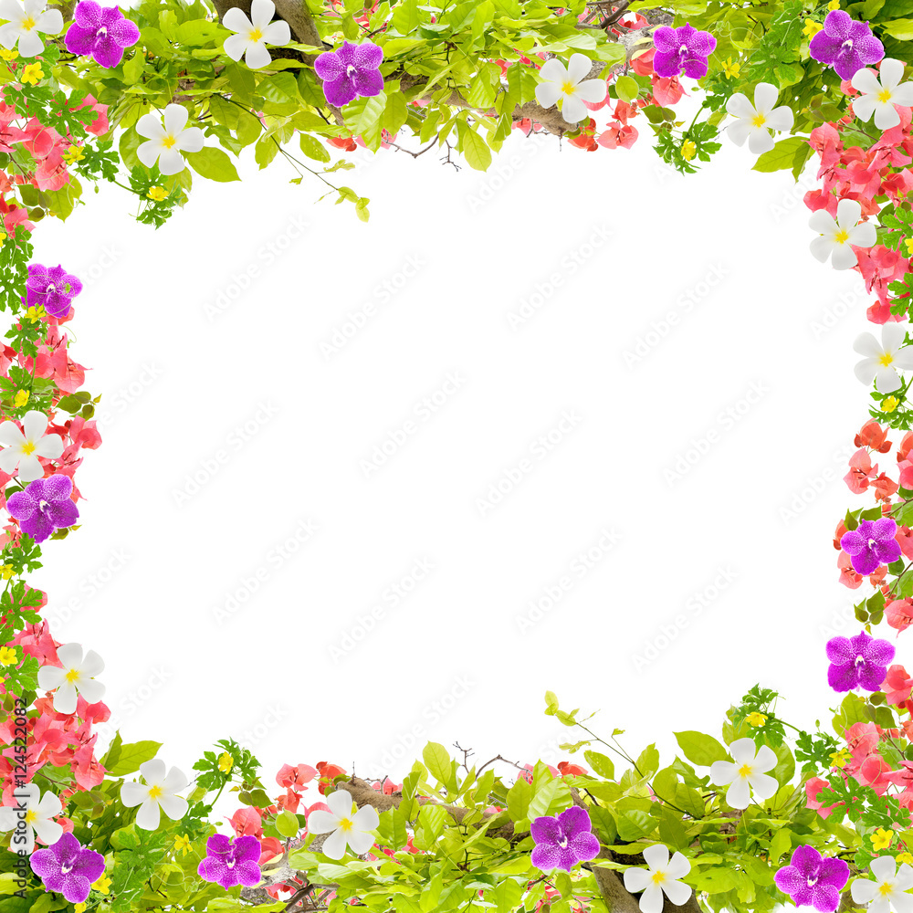 Beautiful green leaves frame with flower on white background