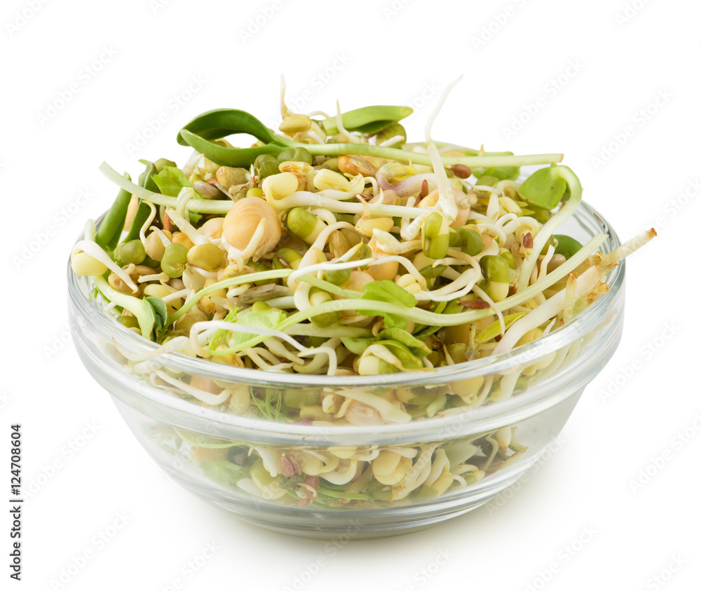 将发芽的亚麻、豌豆、绿豆、向日葵、小麦、扁豆种子混合在玻璃碗中，在whit上分离
