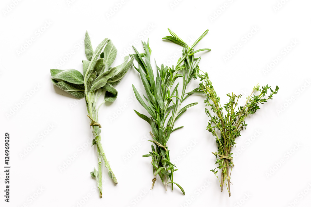 鼠尾草、迷迭香、百里香——白色背景的草本植物簇