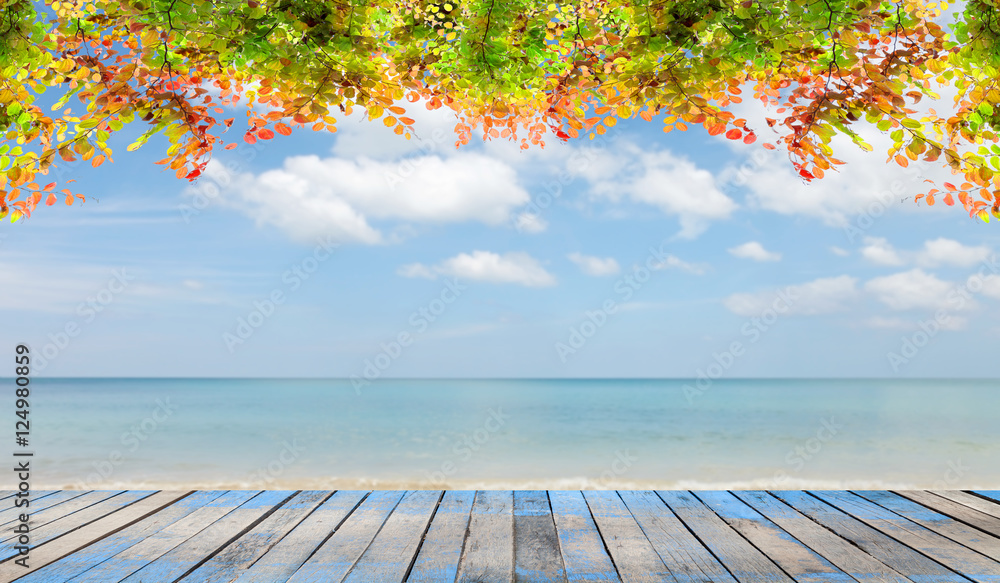 美丽的秋叶架在海滩和天空上
