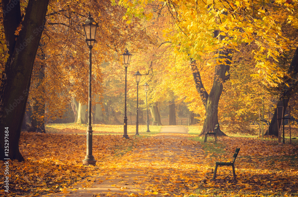 波兰克拉科夫一个阳光明媚的日子，秋天公园里五颜六色的树巷里挂着一排排灯笼
