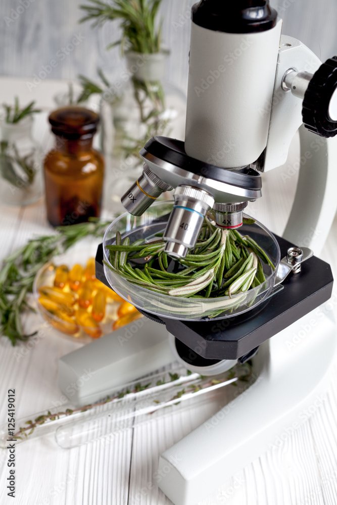 concept healthy food inspection rosemary in laboratory no one