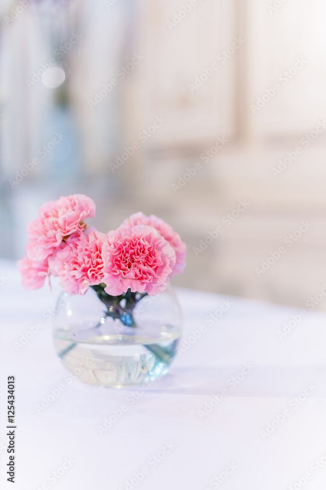 玻璃花瓶里的粉红色康乃馨花