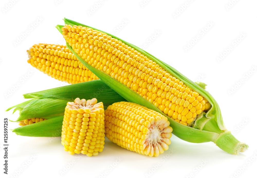 白色隔离玉米