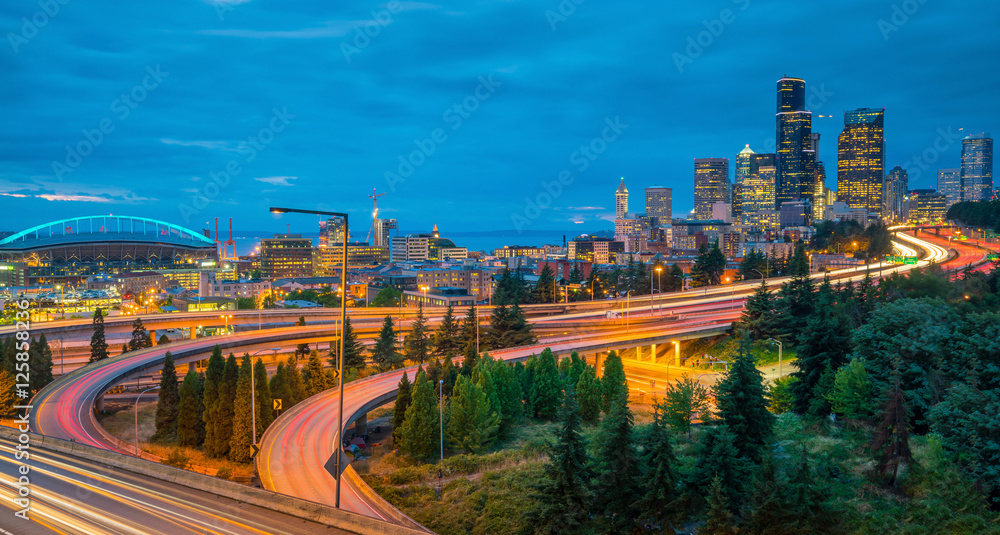 西雅图市中心天际线景观