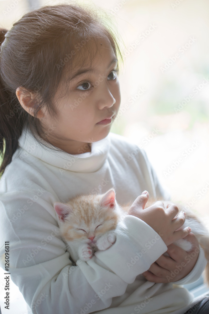 快乐的亚洲小女孩拥抱可爱的苏格兰折叠小猫