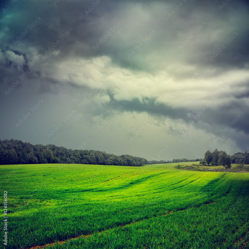 绿色田野和灰色风暴天空的黑暗景观。穆迪HDR风格的风暴云景观。色调和保真