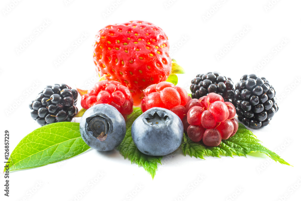 collection of fresh wild berries on white background