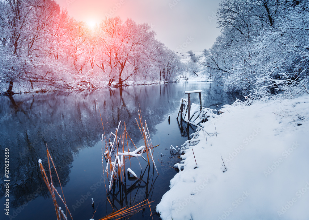 日落时河边森林里的美丽冬天。冬天的风景。树上的雪树枝，美丽