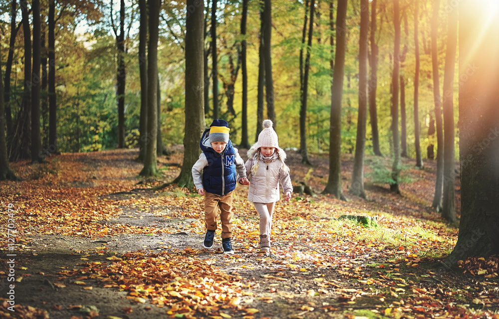 两个孩子在秋天的森林里游荡