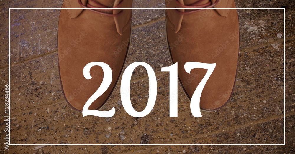 2017年新年贺词反对棕色鞋子