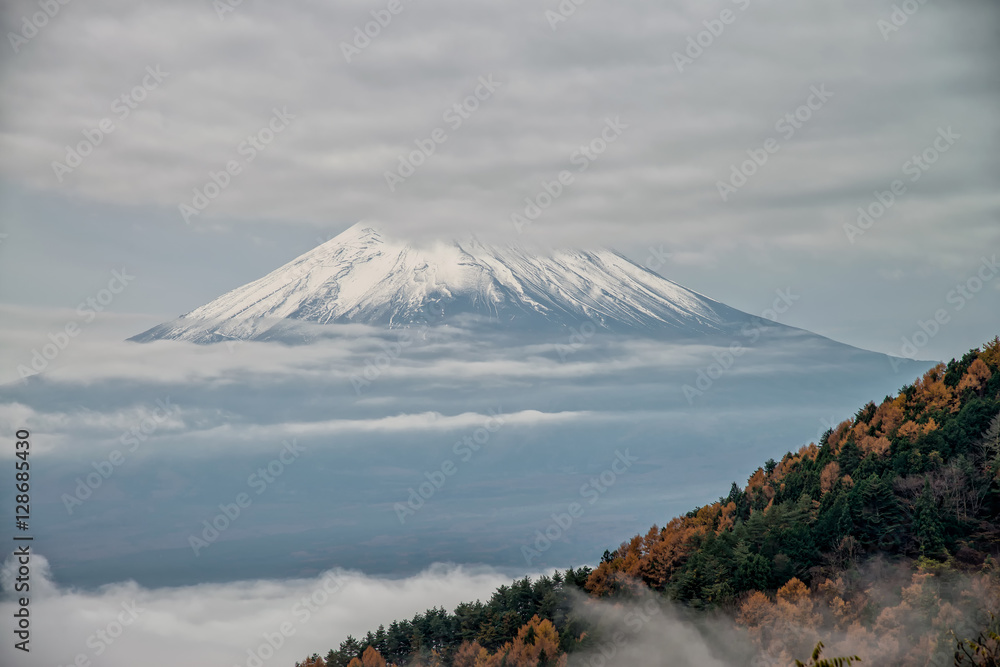 雾中的富士山