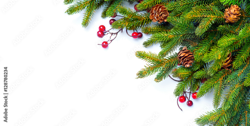 圣诞边界。用冬青浆果和球果装饰的冷杉树枝