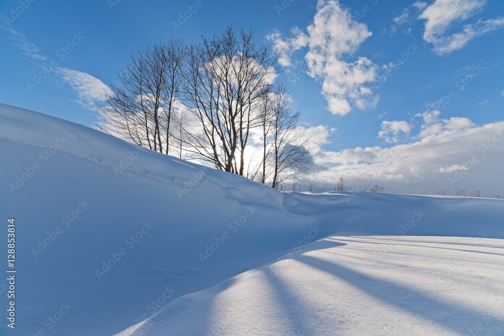 巨大的雪堤和阳光下的树木。
