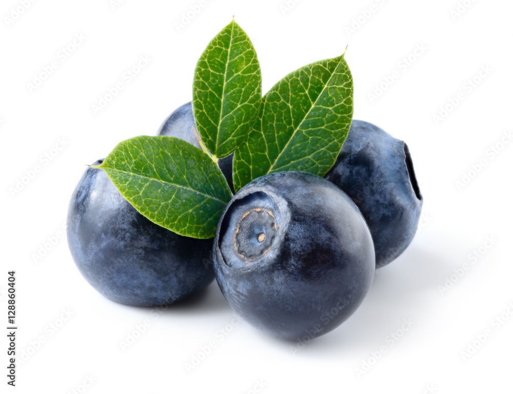 蓝莓。新鲜浆果，叶片孤立在白色。