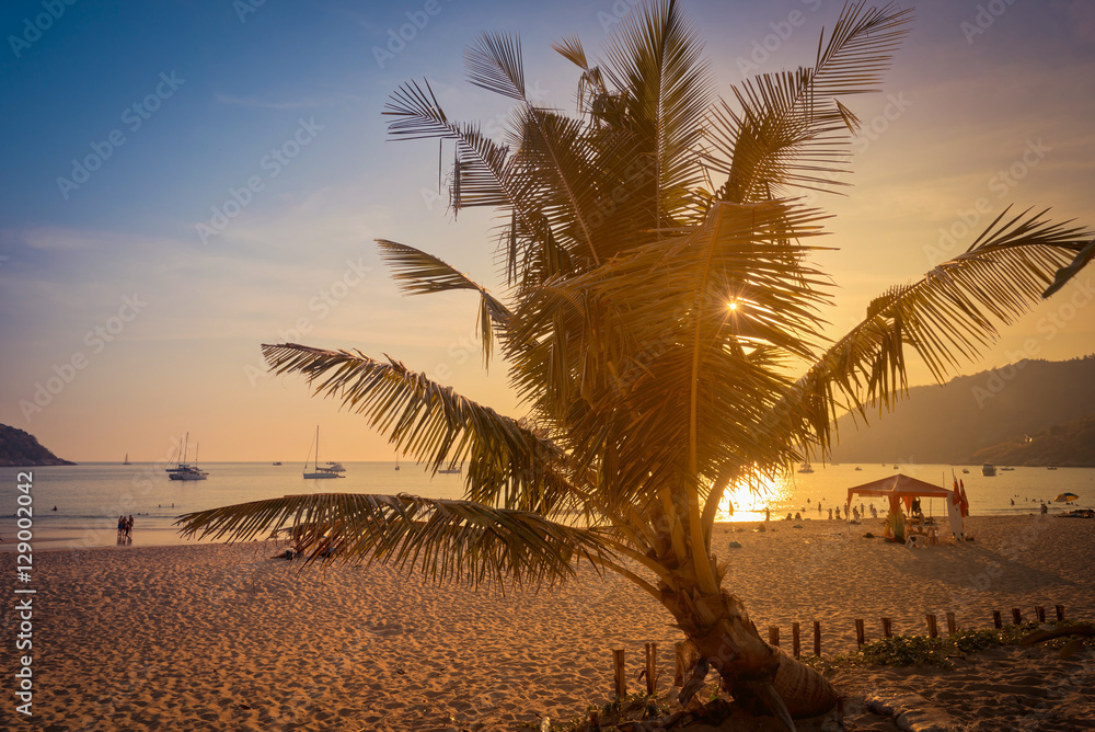 泰国普吉岛日落时海滩上的椰子树剪影