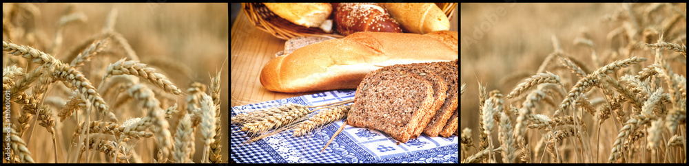 全谷物面包和面包卷——小麦的整体产品