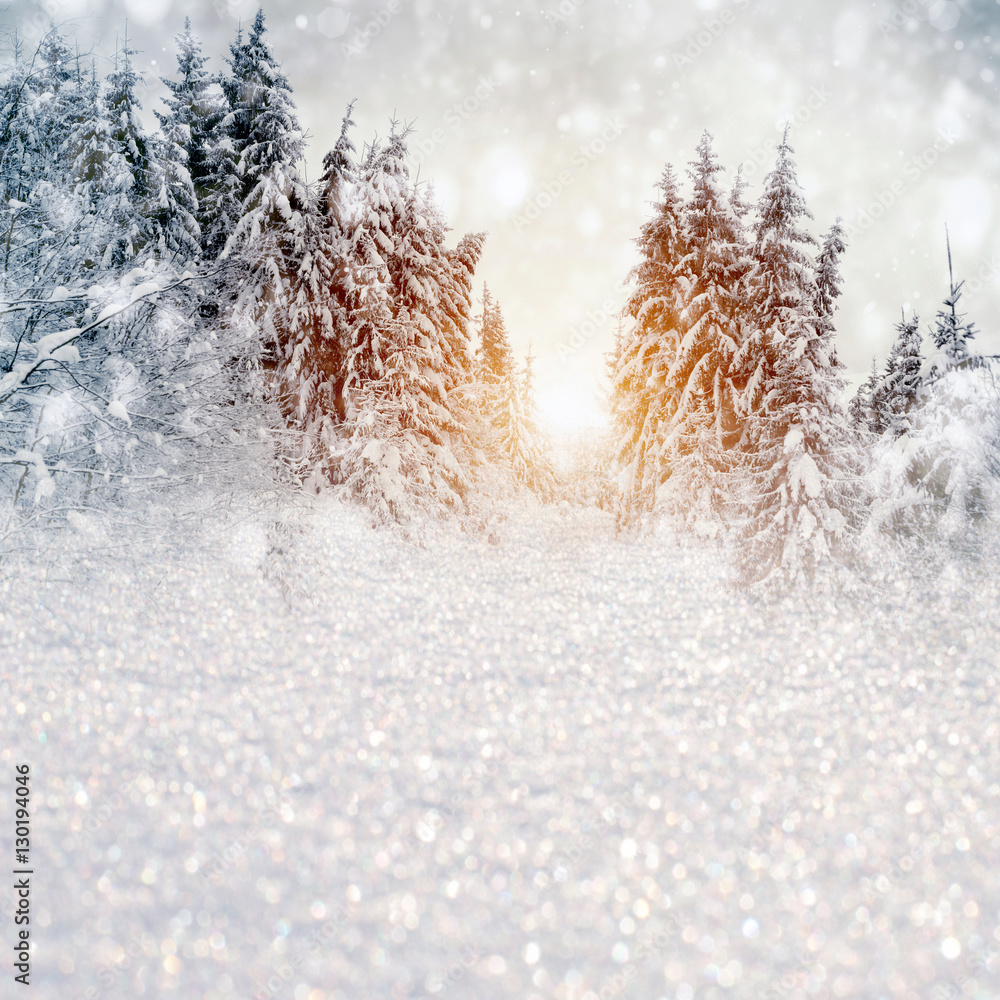 白雪皑皑的树木和雪花的冬季景观