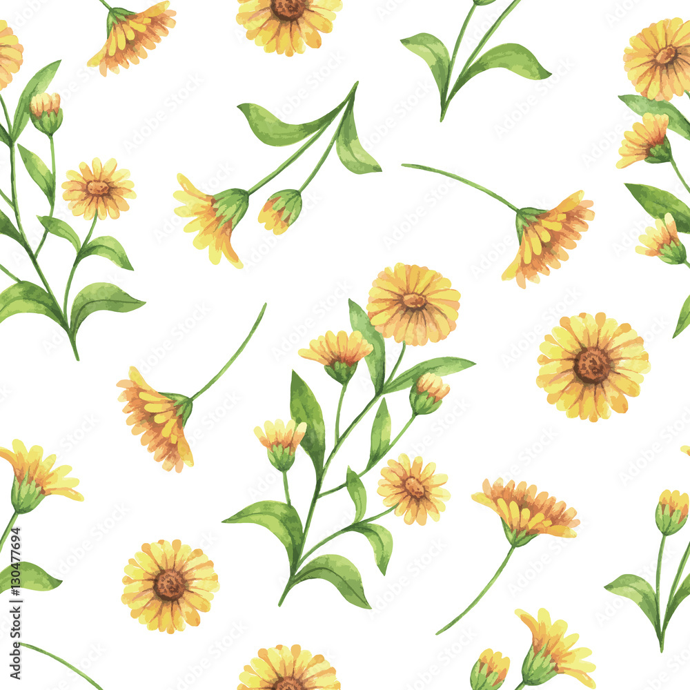 Watercolor vector seamless pattern with calendula, marigold flowers and branches.