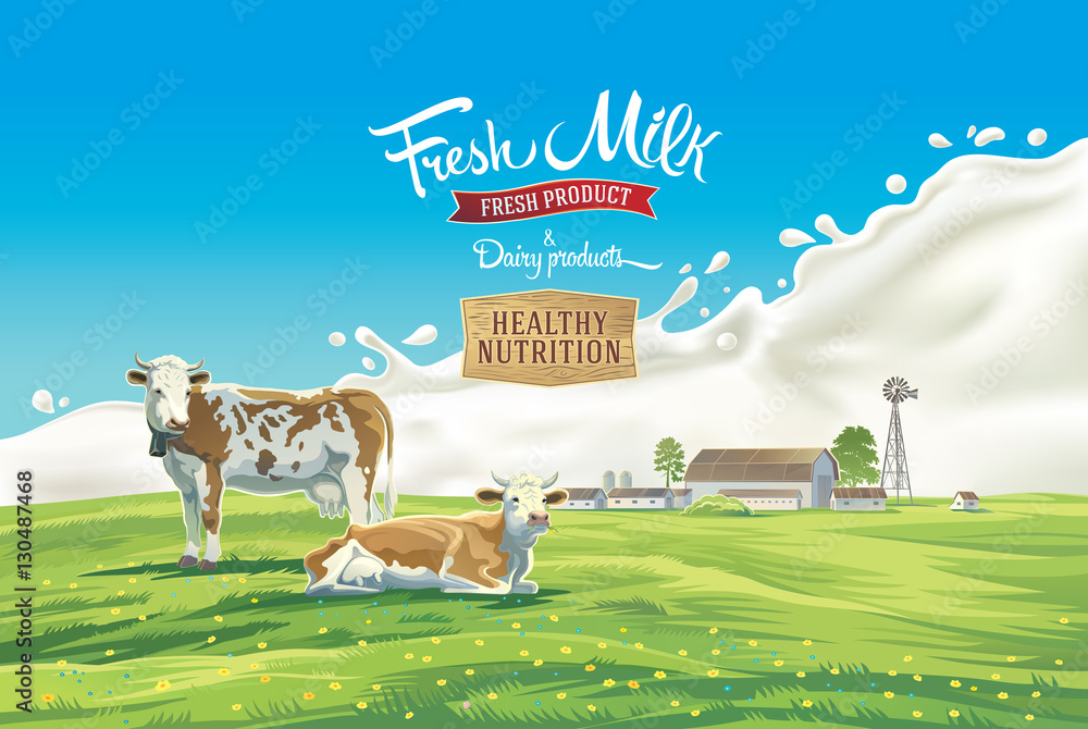 夏季景观背景中的两头奶牛，牛奶飞溅，以及图形元素