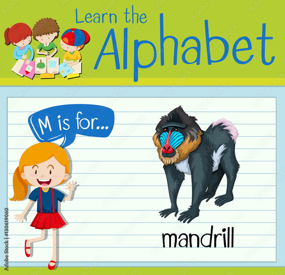 Flashcard letter M is for mandrill