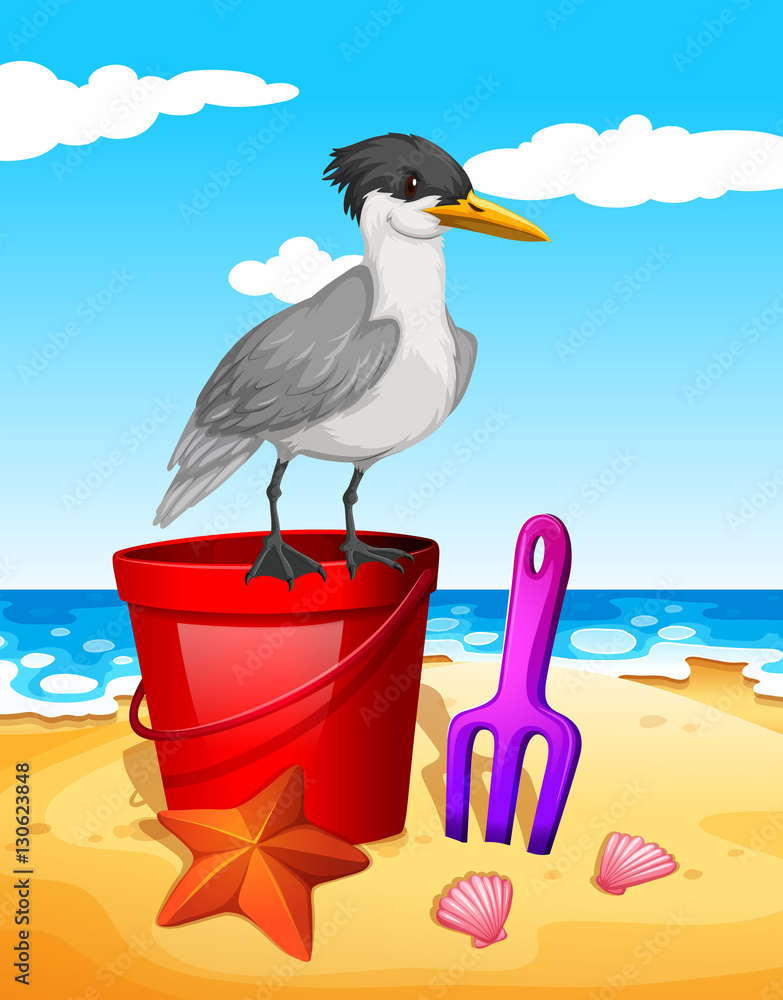 Seagull standing on red bucket