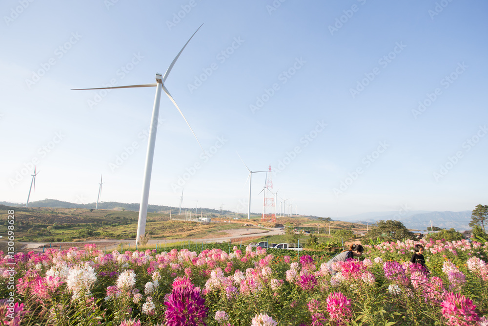 生态电力、风力涡轮机、替代能源、粉色花朵前景