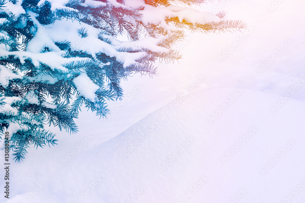 Merry Christmas and happy New Year greeting card background. Winter landscape snowdrift Christmas tr