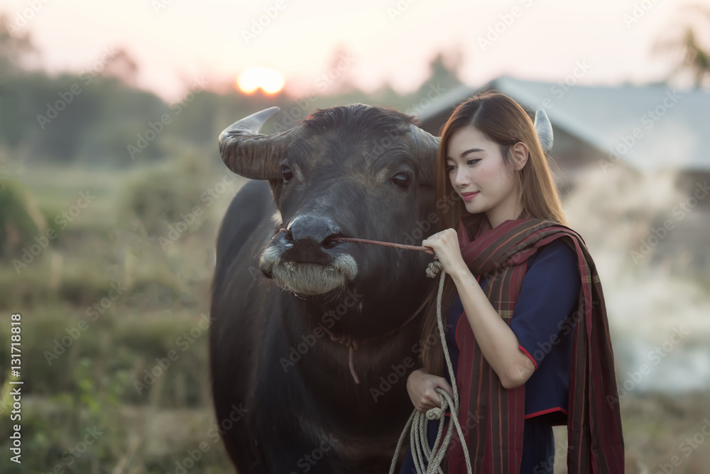 The lives of countryside women in rural area with buffalo.
