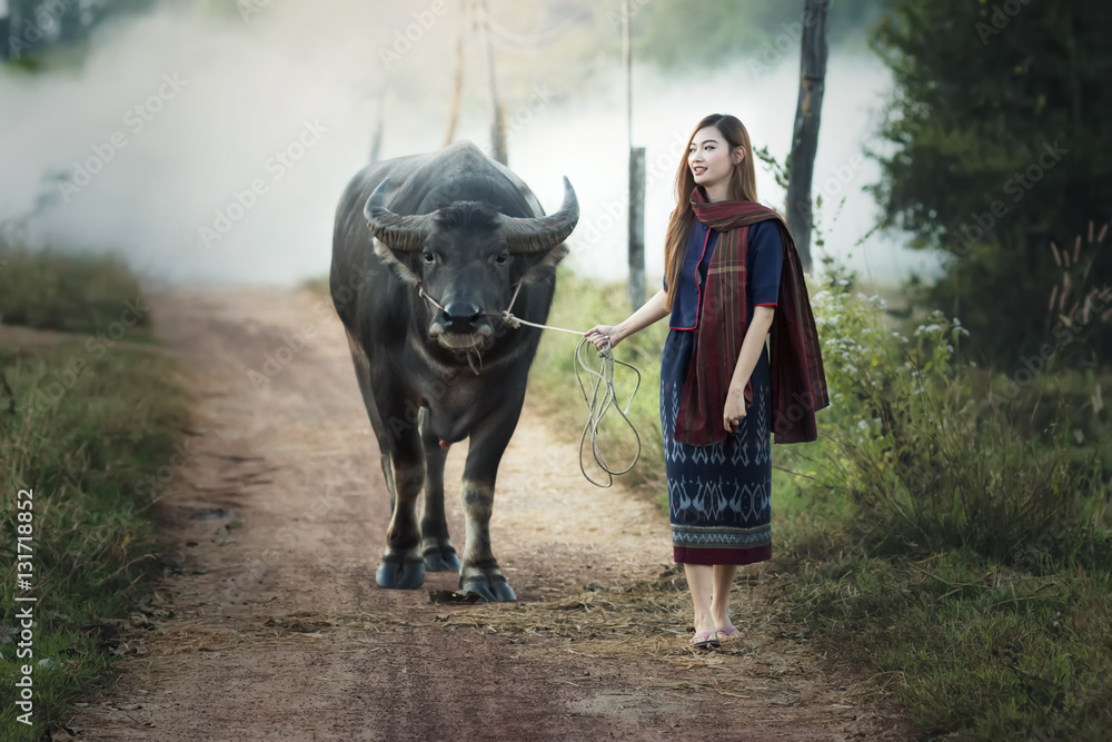 农村妇女与水牛的生活。