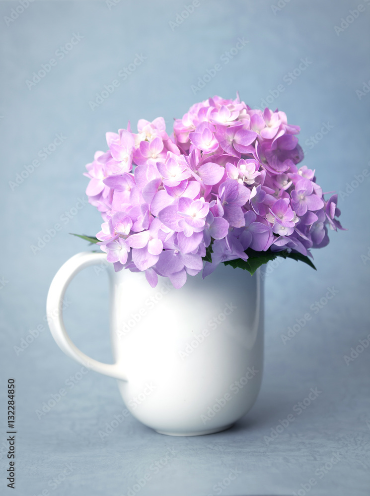 the sweet  hydrangea flowers in white vase