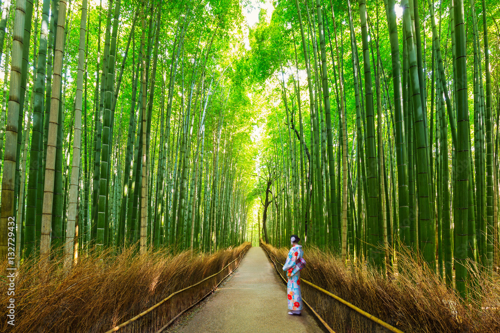 Bamboo forest of Arashiyama near Kyoto, Japan