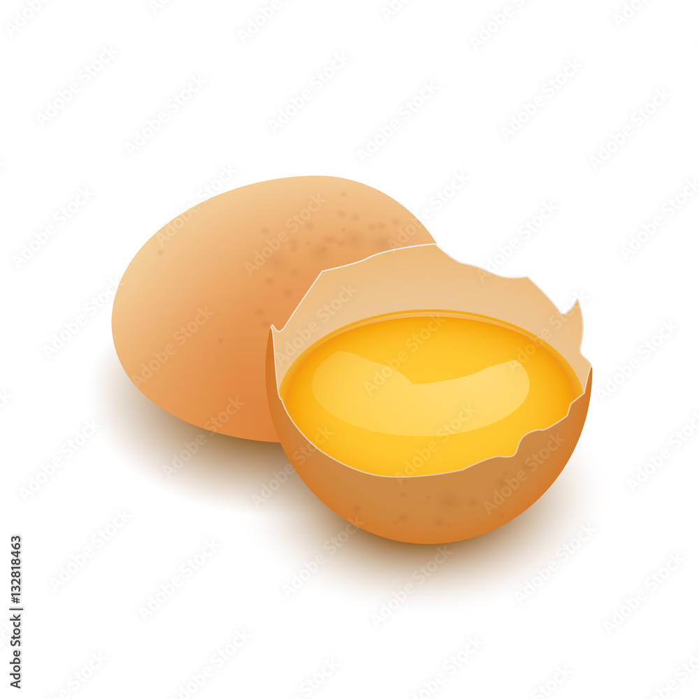 全蛋和带蛋黄的蛋壳，载体，分离于白色