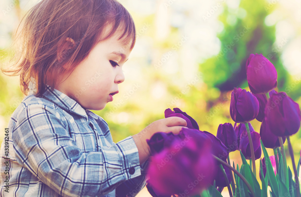 Toddler girl playing with purple tulips