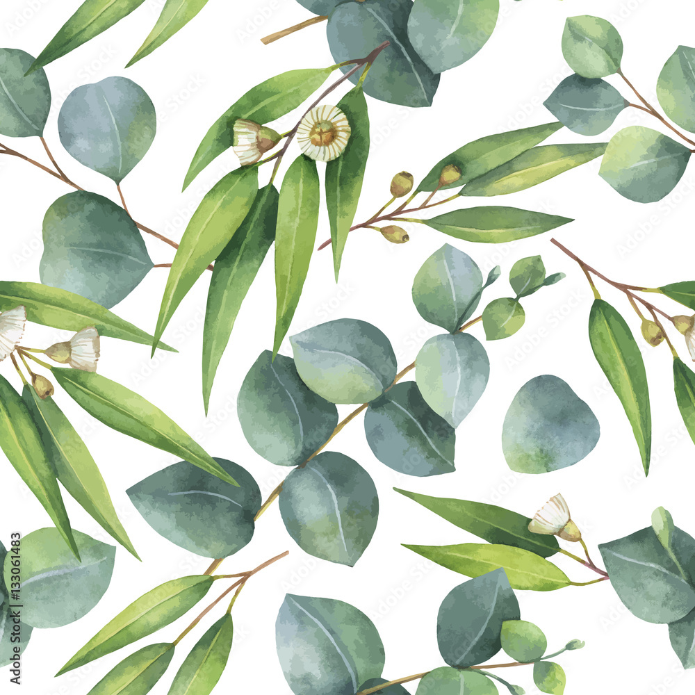 Watercolor vector seamless pattern with eucalyptus leaves and branches.