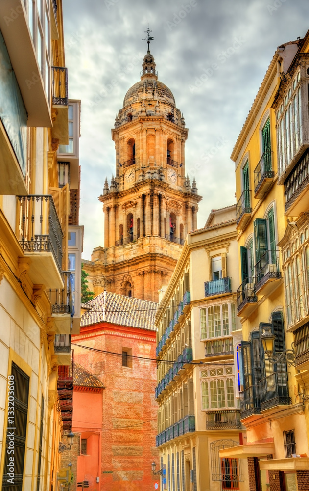 View of Malaga Cathedral, Andalusia, Spain