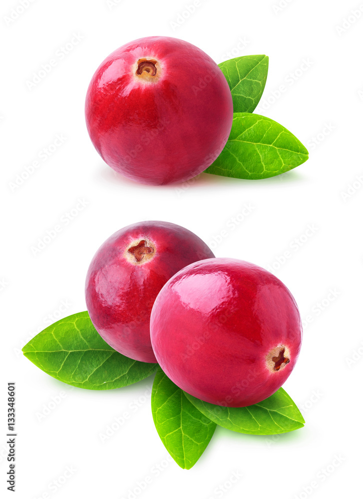 Isolated cranberries. Two images of cranberry fruits with leaves isolated on white background with c