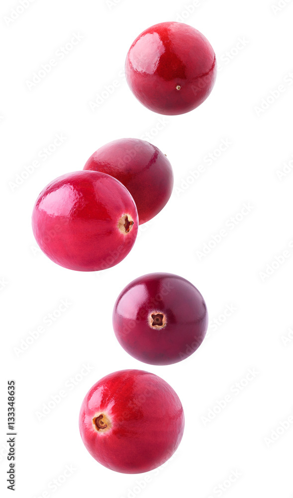 Isolated flying berries. Five falling cranberry fruits isolated on white background with clipping pa