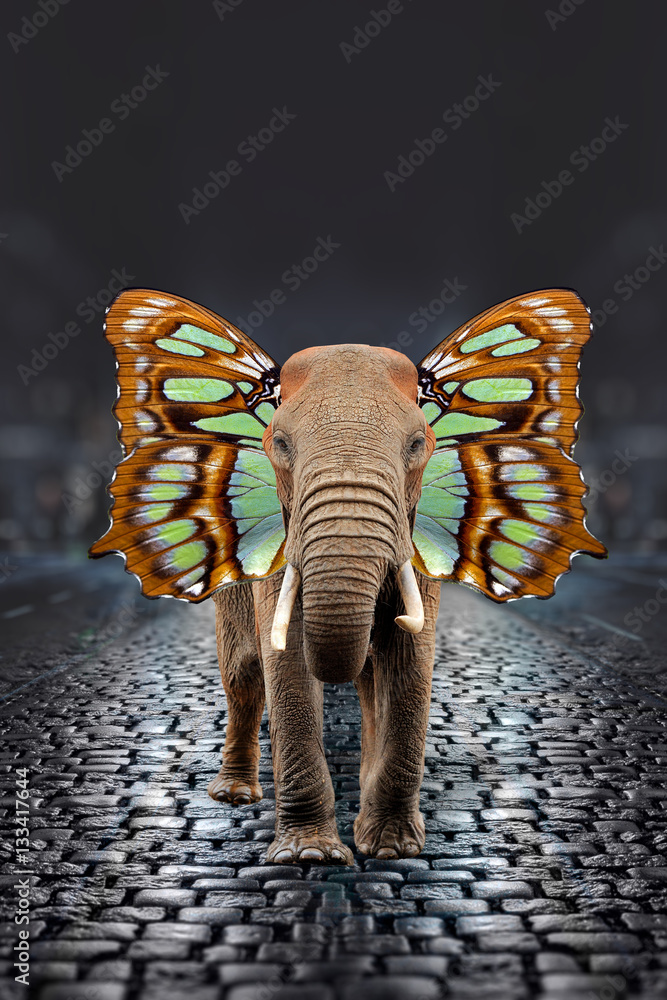 Elephant with butterfly wings